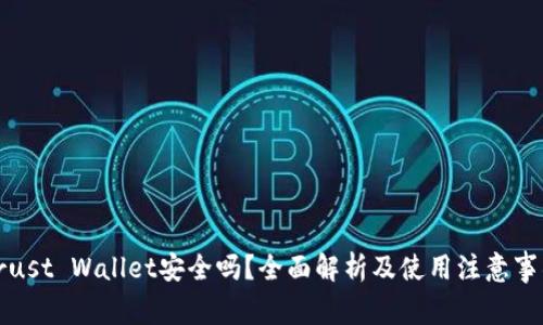 Trust Wallet安全吗？全面解析及使用注意事项
