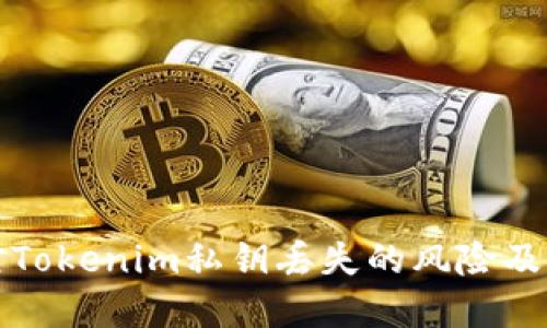 如何应对Tokenim私钥丢失的风险及解决方案