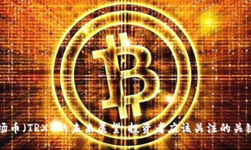 波场币（TRX）的未来展望：投资者应该关注的关键点