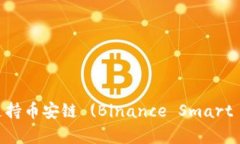 TokenIM钱包是否支持币安链 (Binance Smart Chain) 的全
