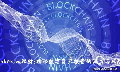 Tokenim理财：揭秘数字资产投资的潜力与风险