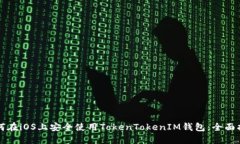 如何在iOS上安全使用TokenTokenIM钱包：全面指南