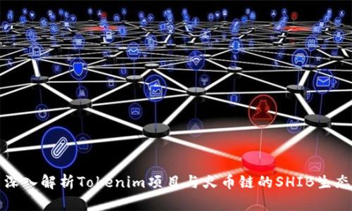 深入解析Tokenim项目与火币链的SHIB生态