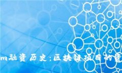 Tokenim融资历史：区块链项目的资金演变