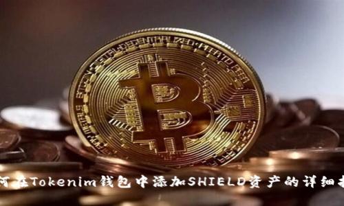 如何在Tokenim钱包中添加SHIELD资产的详细指南