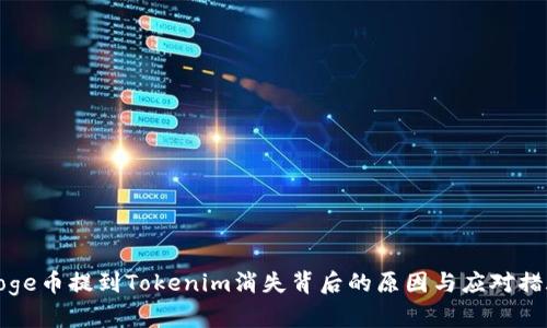 Doge币提到Tokenim消失背后的原因与应对措施
