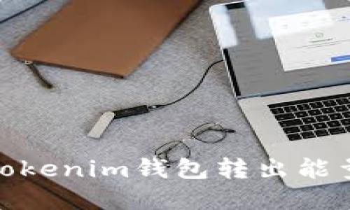 : 如何解决Tokenim钱包转出能量不足的问题