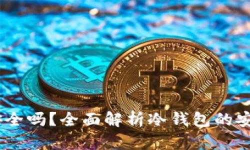 USDT放冷钱包安全吗？全面解析冷钱包的安全性及使用指南