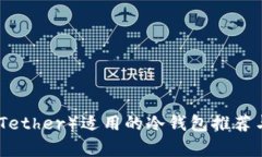 : 泰达币（Tether）适用的冷钱包推荐与使用指南