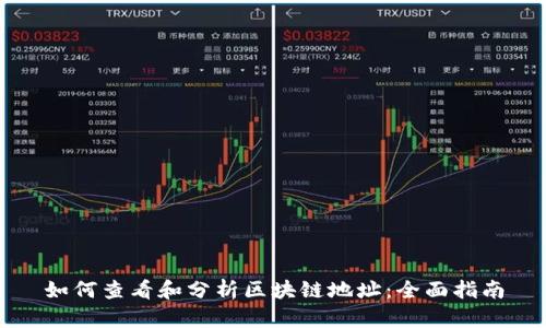 如何查看和分析区块链地址：全面指南