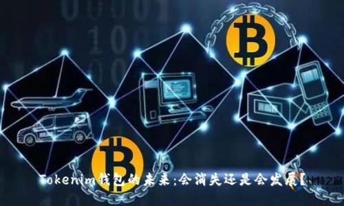Tokenim钱包的未来：会消失还是会发展？