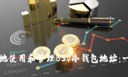 如何安全地使用和管理BSV冷钱包地址：一站式指南