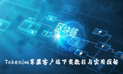 Tokenim苹果客户端下载教程与实用图解