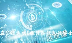冷钱包地址在公链上吗？探讨冷钱包的安全性与