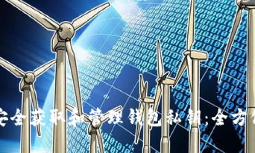 如何安全获取和管理钱包私钥：全方位指南