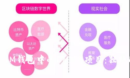 深入解析TokenToken IM钱包中的DMMM项目：独特的投资机遇与风险分析