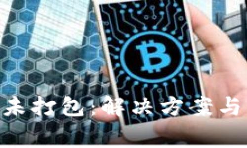 Tokenim钱包未打包：解决方案与常见问题解析