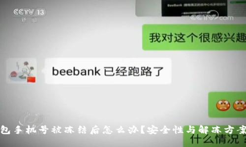 冷钱包手机号被冻结后怎么办？安全性与解冻方案详解