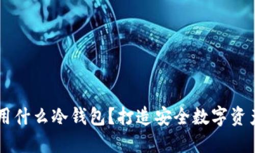 币圈大佬都用什么冷钱包？打造安全数字资产的终极指南