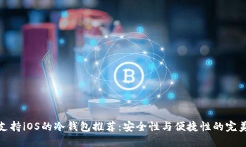 十大支持iOS的冷钱包推荐：安全性与便捷性的完美结合