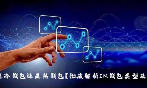 IM钱包是冷钱包还是热钱包？彻底解析IM钱包类型及其优缺点