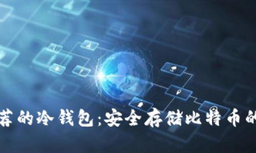 中本聪推荐的冷钱包：安全存储比特币的最佳选择