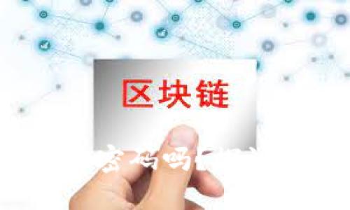 进入TokenTokenIM钱包需要密码吗？探讨数字钱包安全性与用户体验