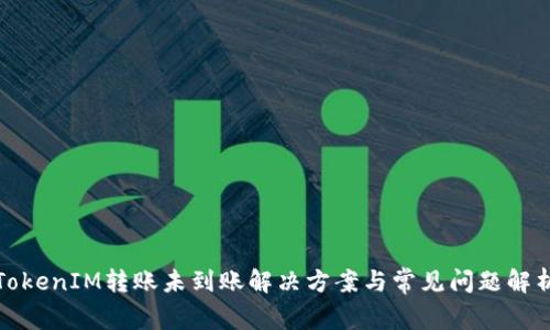 TokenIM转账未到账解决方案与常见问题解析
