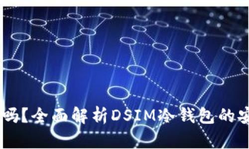 DSIM冷钱包靠谱吗？全面解析DSIM冷钱包的安全性与使用体验