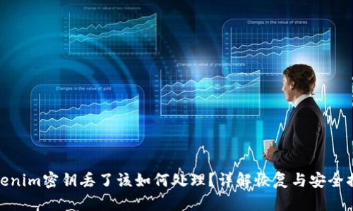 tokenim密钥丢了该如何处理？详解恢复与安全措施