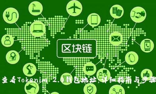如何查看Tokenim 2.0钱包地址：详细指南与步骤解析