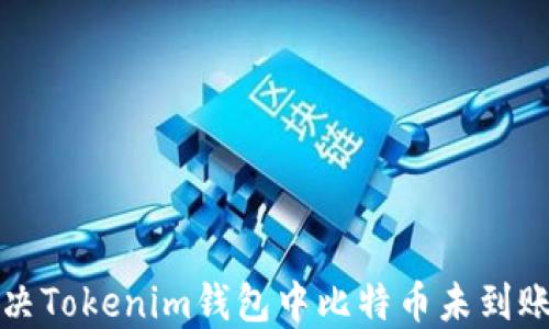 
如何解决Tokenim钱包中比特币未到账的问题