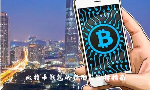 比特币钱包的作用与选择指南