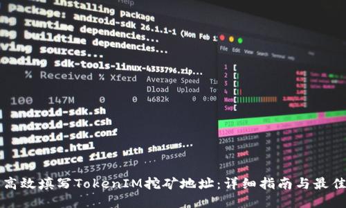 如何高效填写TokenIM挖矿地址：详细指南与最佳实践
