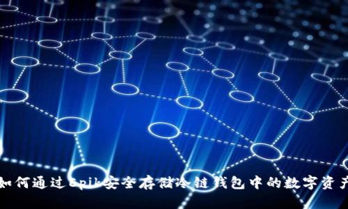 如何通过Epik安全存储冷链钱包中的数字资产