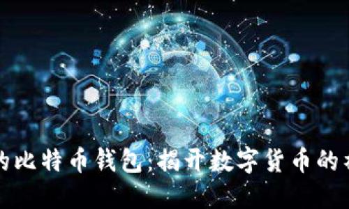 中本聪的比特币钱包：揭开数字货币的神秘面纱