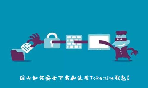 国内如何安全下载和使用Tokenim钱包？