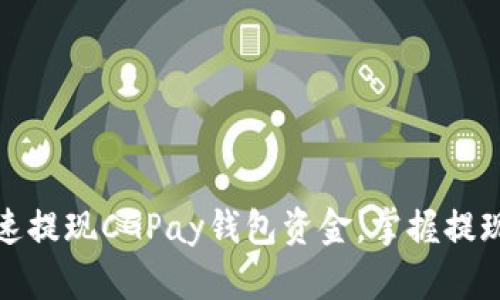 如何安全快速提现CGPay钱包资金，掌握提现流程和技巧
