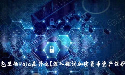 冷钱包里的Pala是什么？深入探讨加密货币资产保护方式