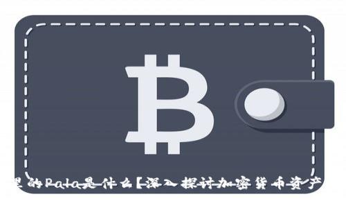 冷钱包里的Pala是什么？深入探讨加密货币资产保护方式