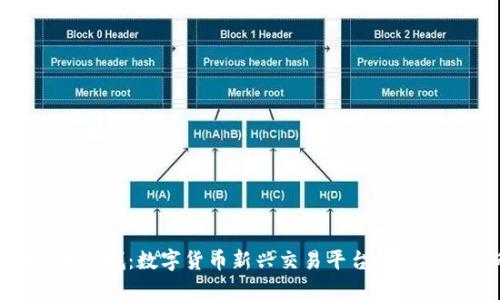 探索Pi币商城：数字货币新兴交易平台的机遇与挑战