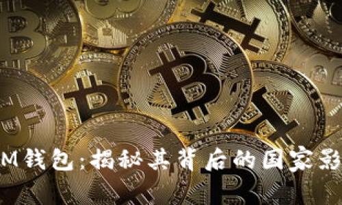 TokenTokenIM钱包：揭秘其背后的国家影响与市场潜力