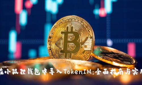 如何在小狐狸钱包中导入TokenIM：全面指南与实用技巧