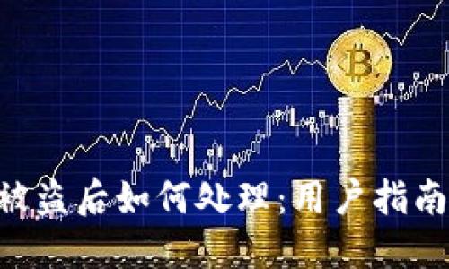 Tokenim币被盗后如何处理：用户指南和应对策略