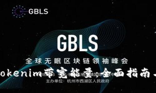 如何获取Tokenim带宽能量：全面指南与实用技巧