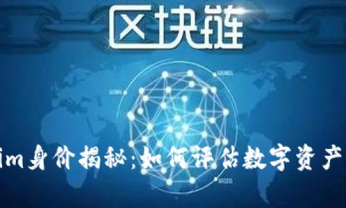 何斌Tokenim身价揭秘：如何评估数字资产的真实价值