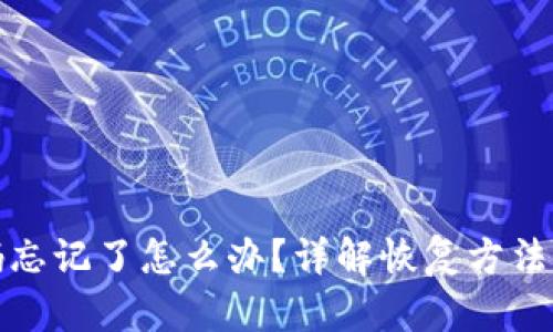 冷钱包密码忘记了怎么办？详解恢复方法与安全建议