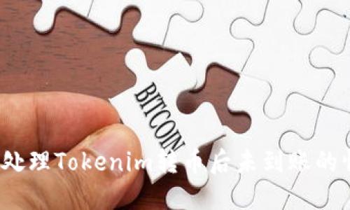 如何处理Tokenim转币后未到账的情况？