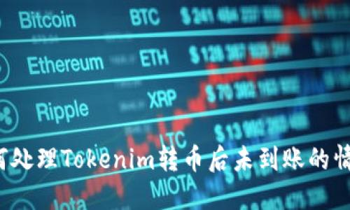 如何处理Tokenim转币后未到账的情况？