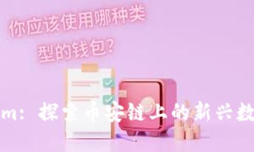 Tokenim: 探索币安链上的新兴数字资产